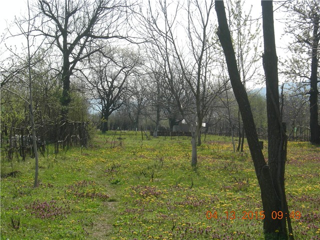 arčilend